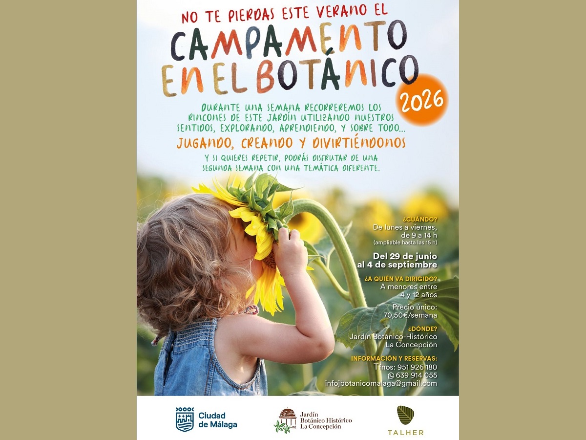 Campamento verano 26H