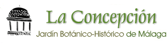 logo_concepcion