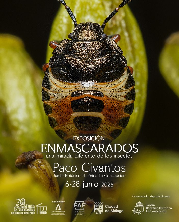 Cartel Enmascarados